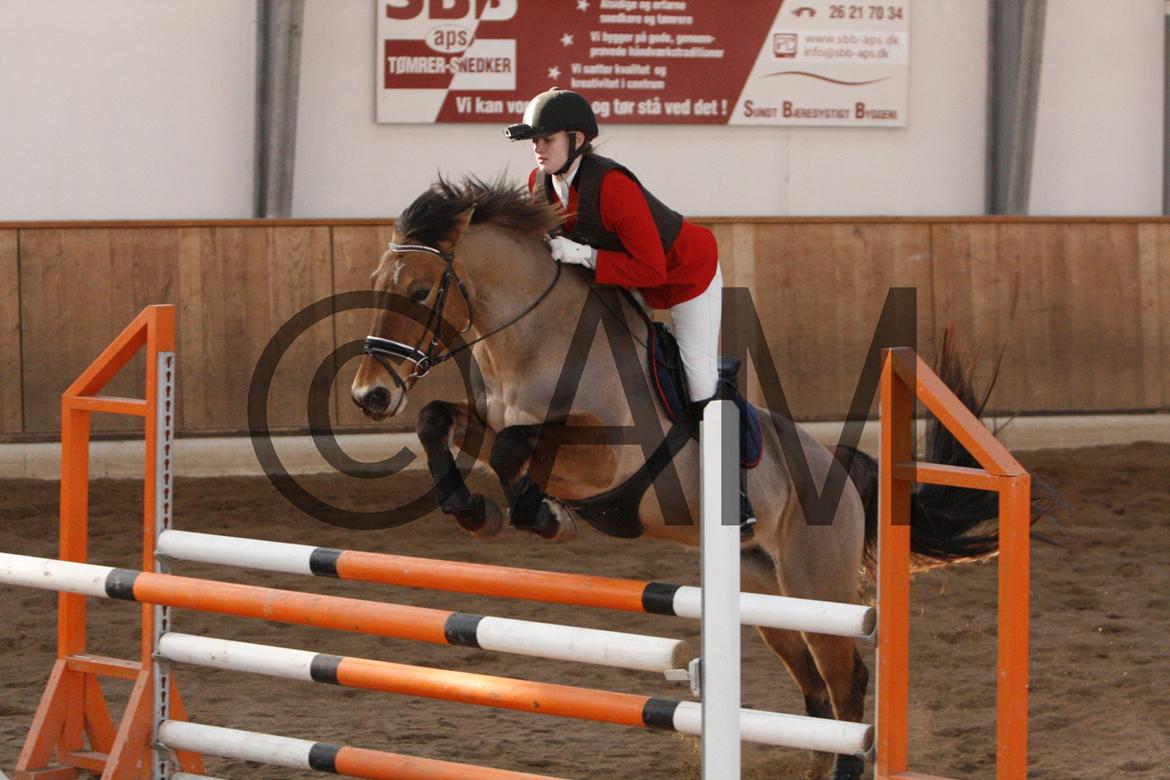 17/03 - 13 | Glostrup rideklub, spring billede 207