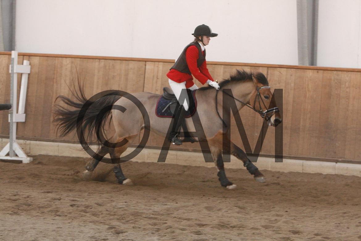 17/03 - 13 | Glostrup rideklub, spring billede 208