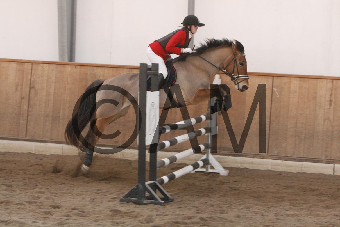 17/03 - 13 | Glostrup rideklub, spring billede 209