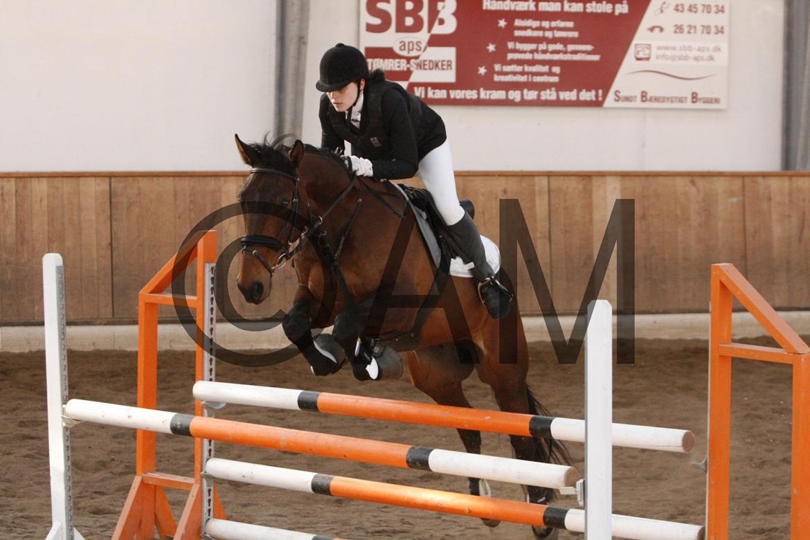 17/03 - 13 | Glostrup rideklub, spring billede 210