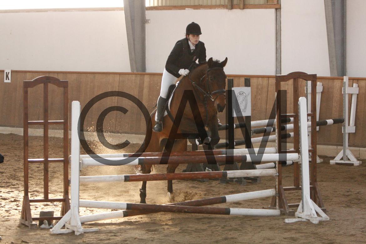 17/03 - 13 | Glostrup rideklub, spring billede 211
