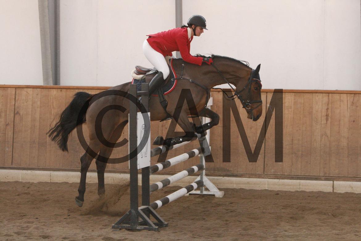 17/03 - 13 | Glostrup rideklub, spring billede 212