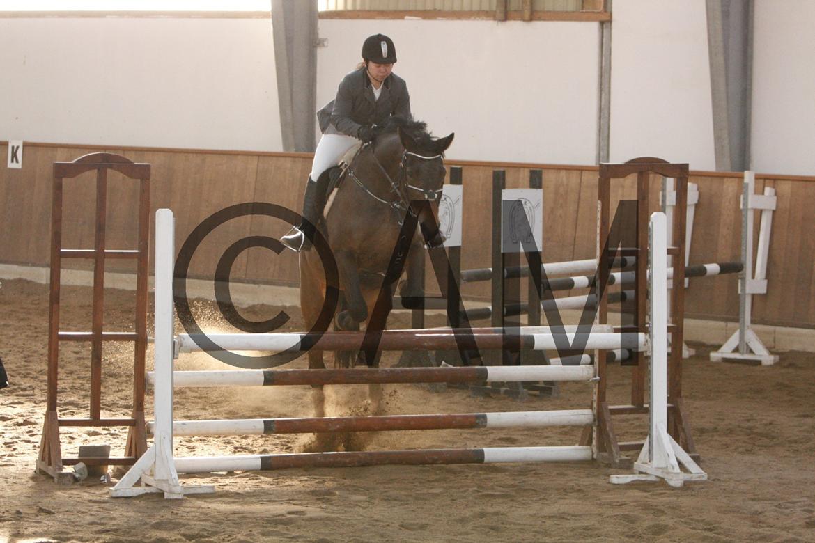 17/03 - 13 | Glostrup rideklub, spring billede 213