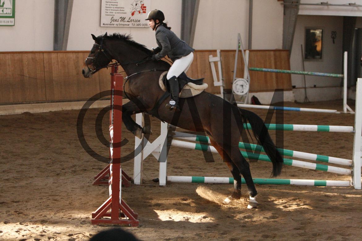 17/03 - 13 | Glostrup rideklub, spring billede 214