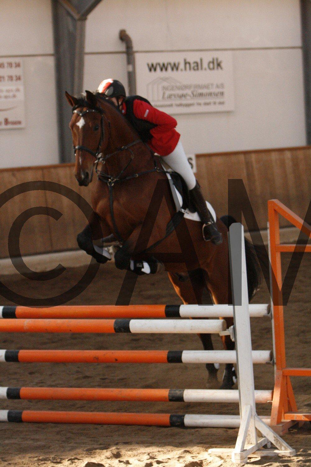 17/03 - 13 | Glostrup rideklub, spring billede 215