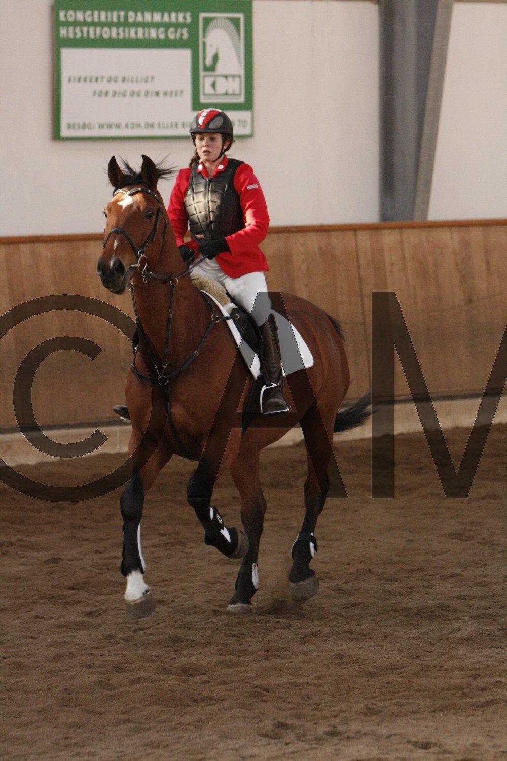 17/03 - 13 | Glostrup rideklub, spring billede 219