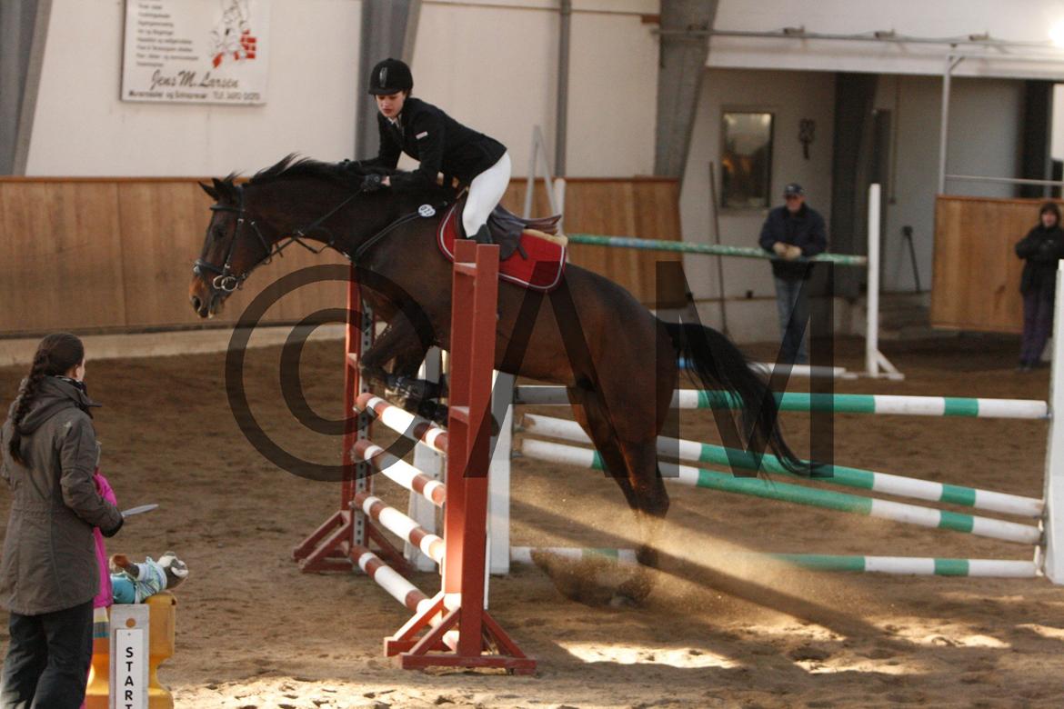 17/03 - 13 | Glostrup rideklub, spring billede 220