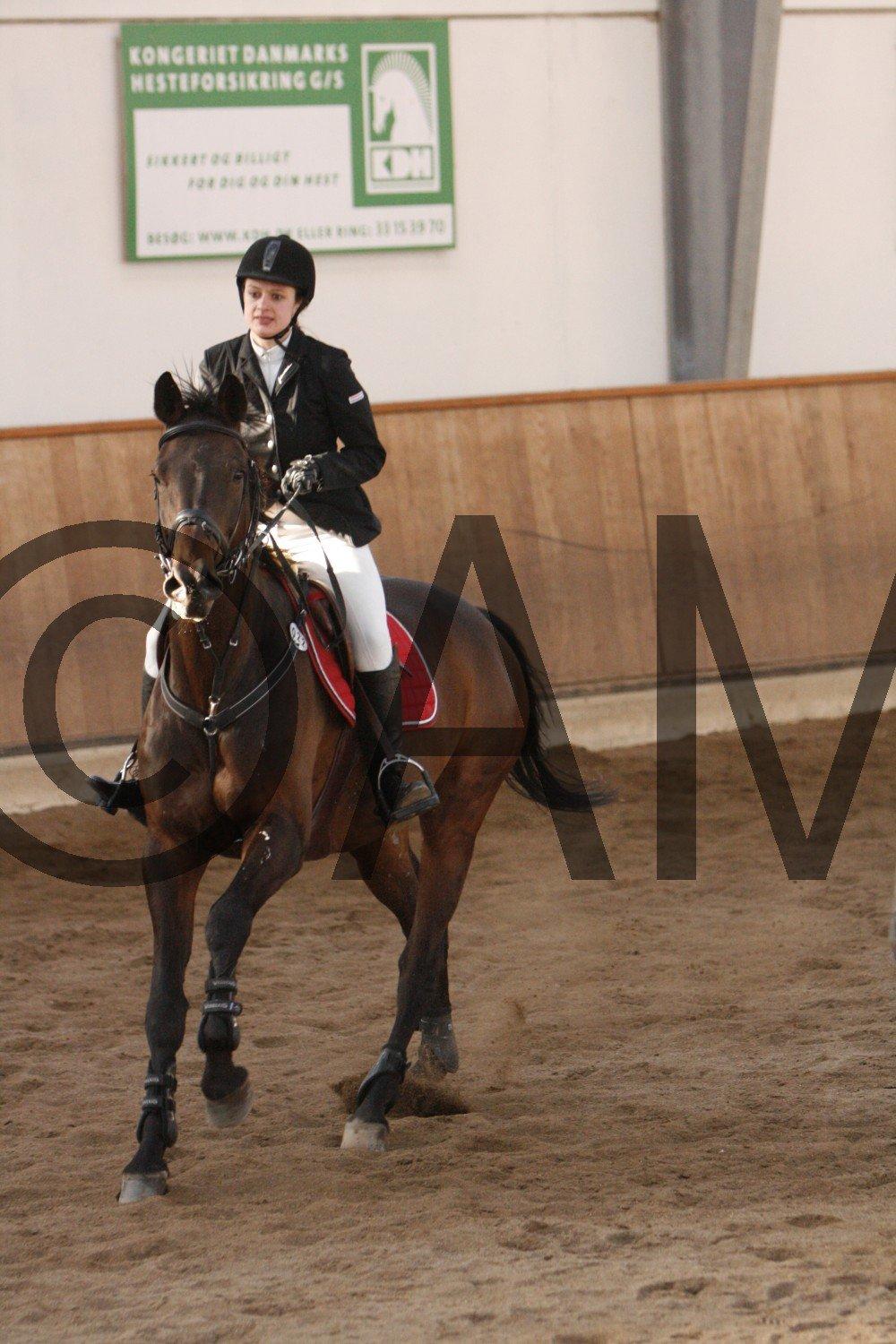 17/03 - 13 | Glostrup rideklub, spring billede 221