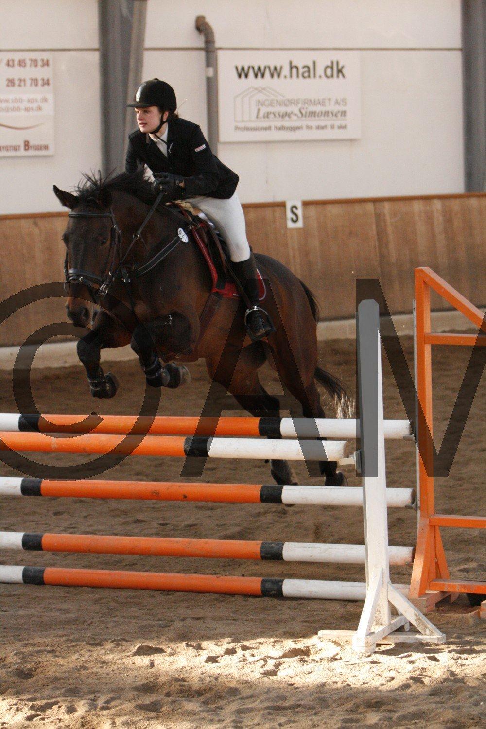 17/03 - 13 | Glostrup rideklub, spring billede 222