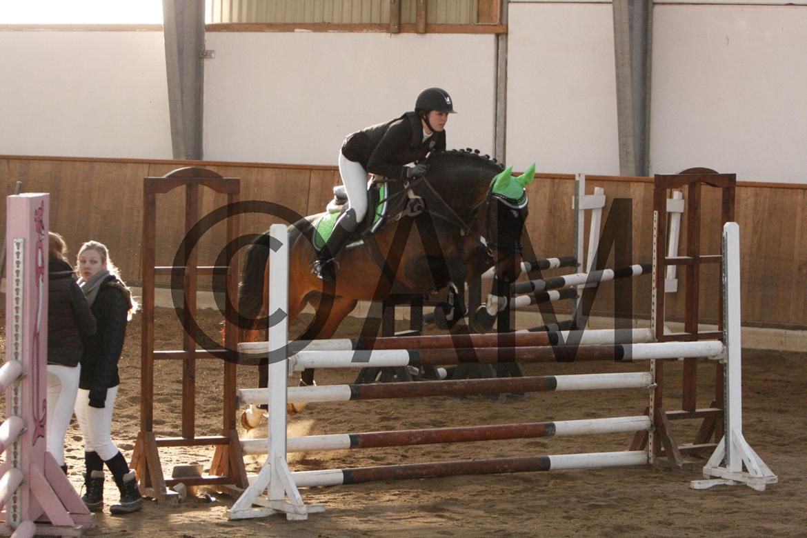 17/03 - 13 | Glostrup rideklub, spring billede 226