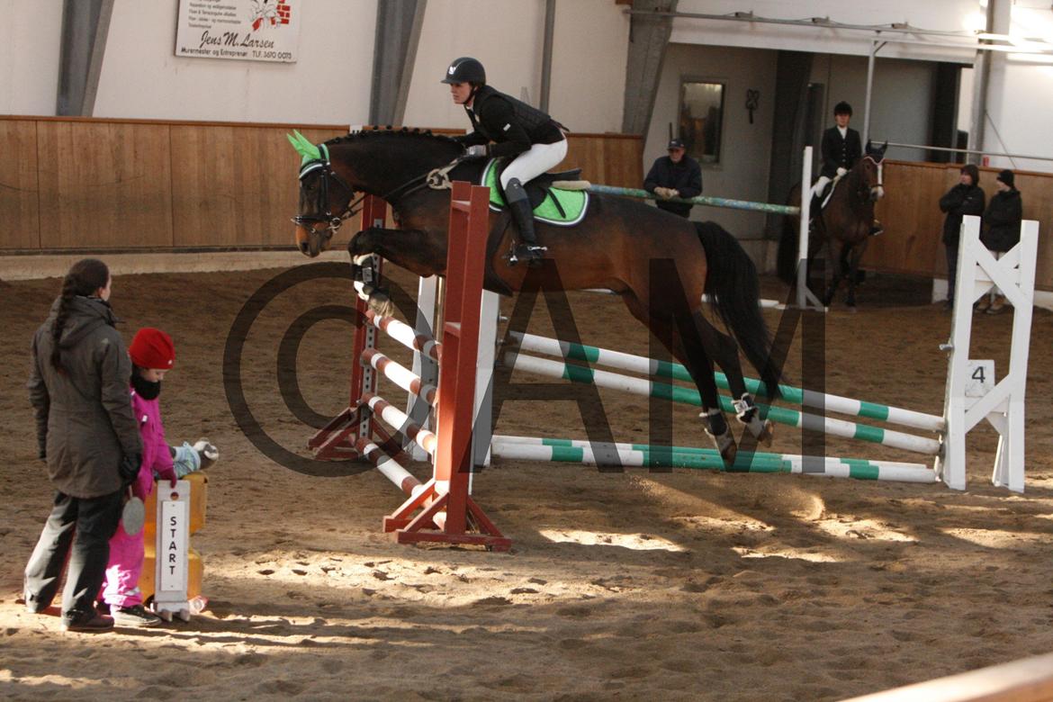 17/03 - 13 | Glostrup rideklub, spring billede 227