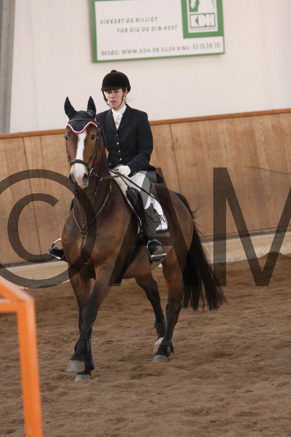 17/03 - 13 | Glostrup rideklub, spring billede 229