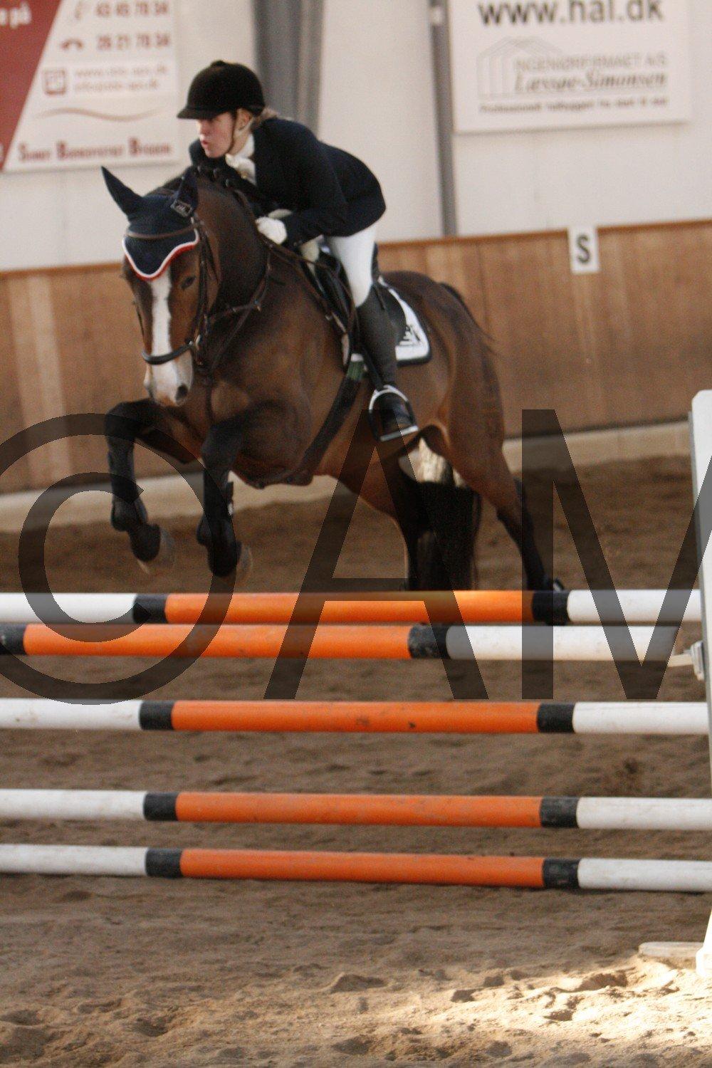 17/03 - 13 | Glostrup rideklub, spring billede 230