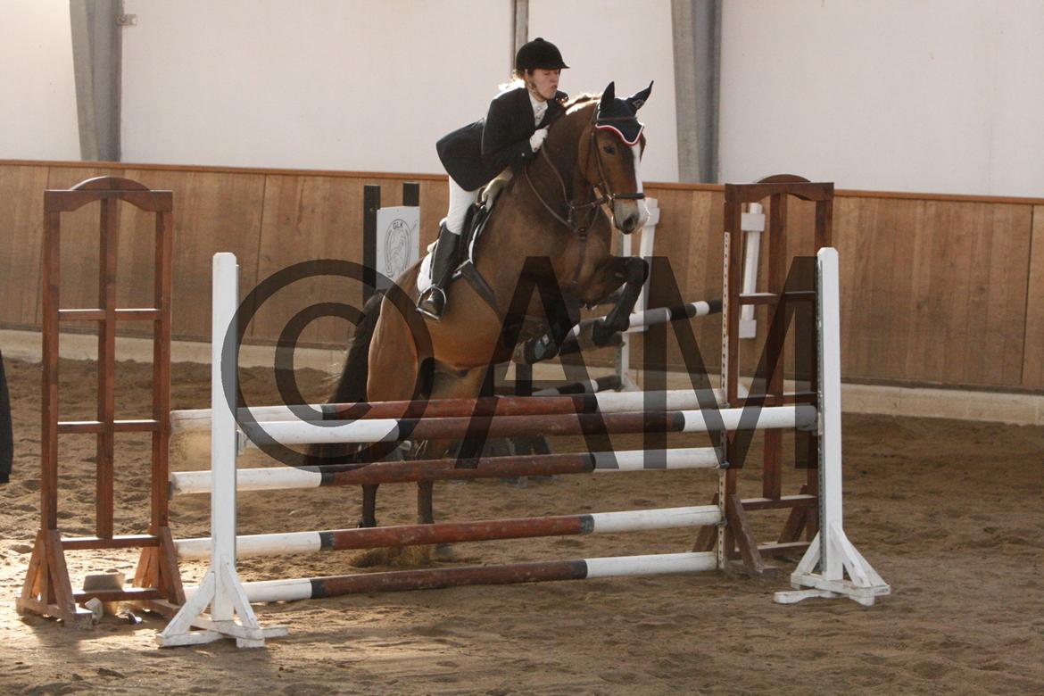 17/03 - 13 | Glostrup rideklub, spring billede 231