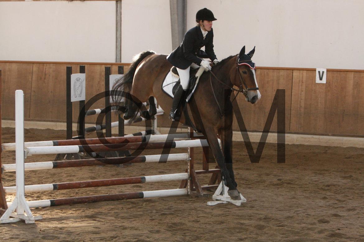 17/03 - 13 | Glostrup rideklub, spring billede 232