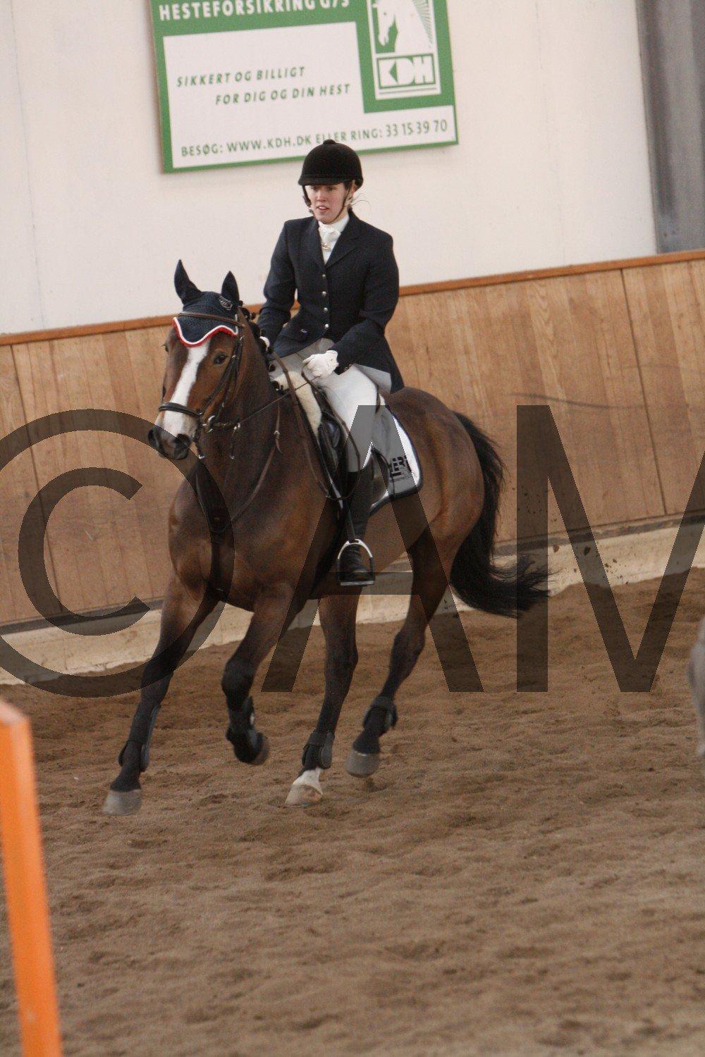 17/03 - 13 | Glostrup rideklub, spring billede 237