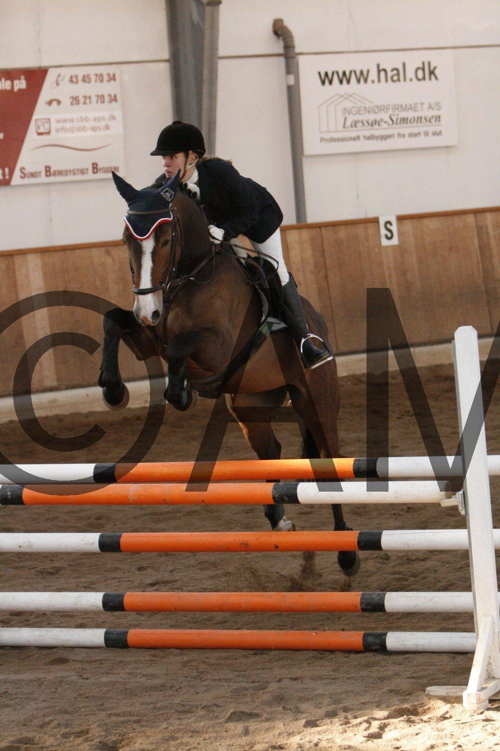 17/03 - 13 | Glostrup rideklub, spring billede 238