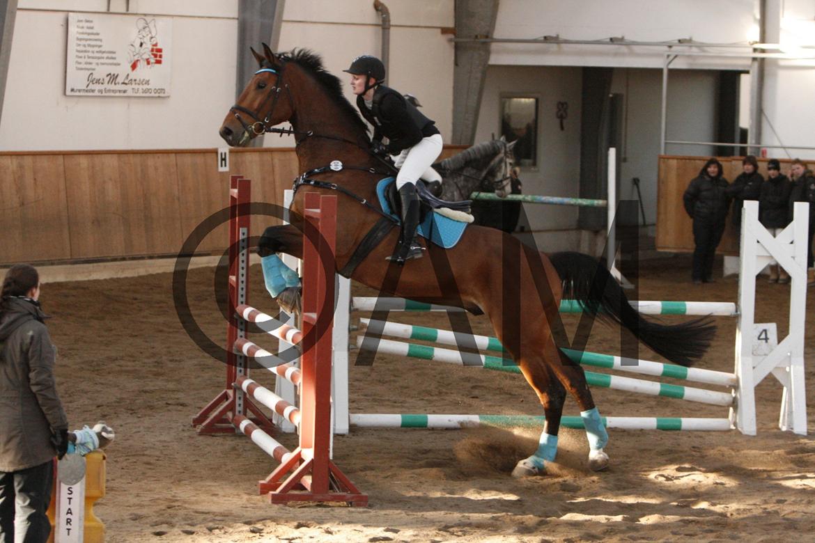 17/03 - 13 | Glostrup rideklub, spring billede 242