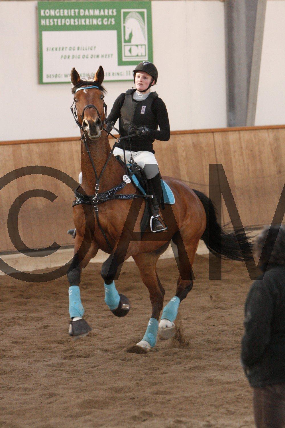 17/03 - 13 | Glostrup rideklub, spring billede 246