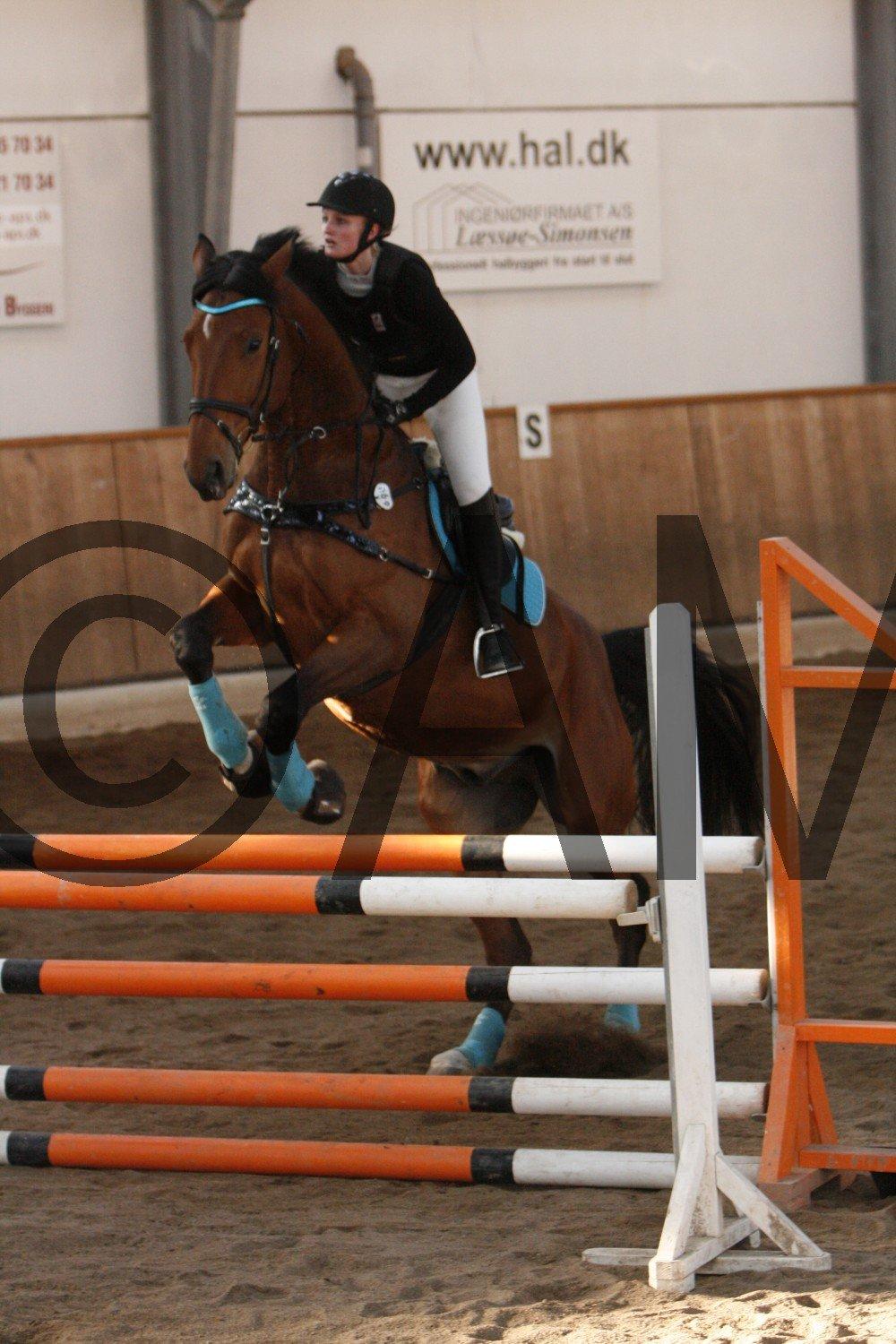 17/03 - 13 | Glostrup rideklub, spring billede 247