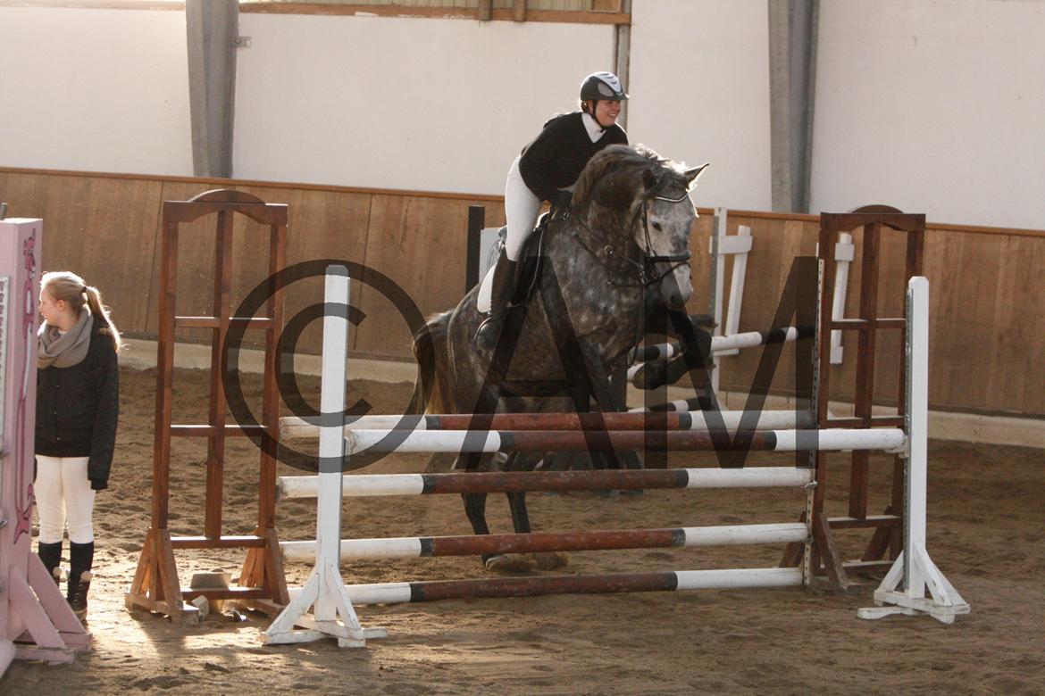 17/03 - 13 | Glostrup rideklub, spring billede 249