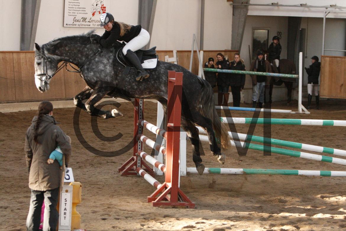 17/03 - 13 | Glostrup rideklub, spring billede 251