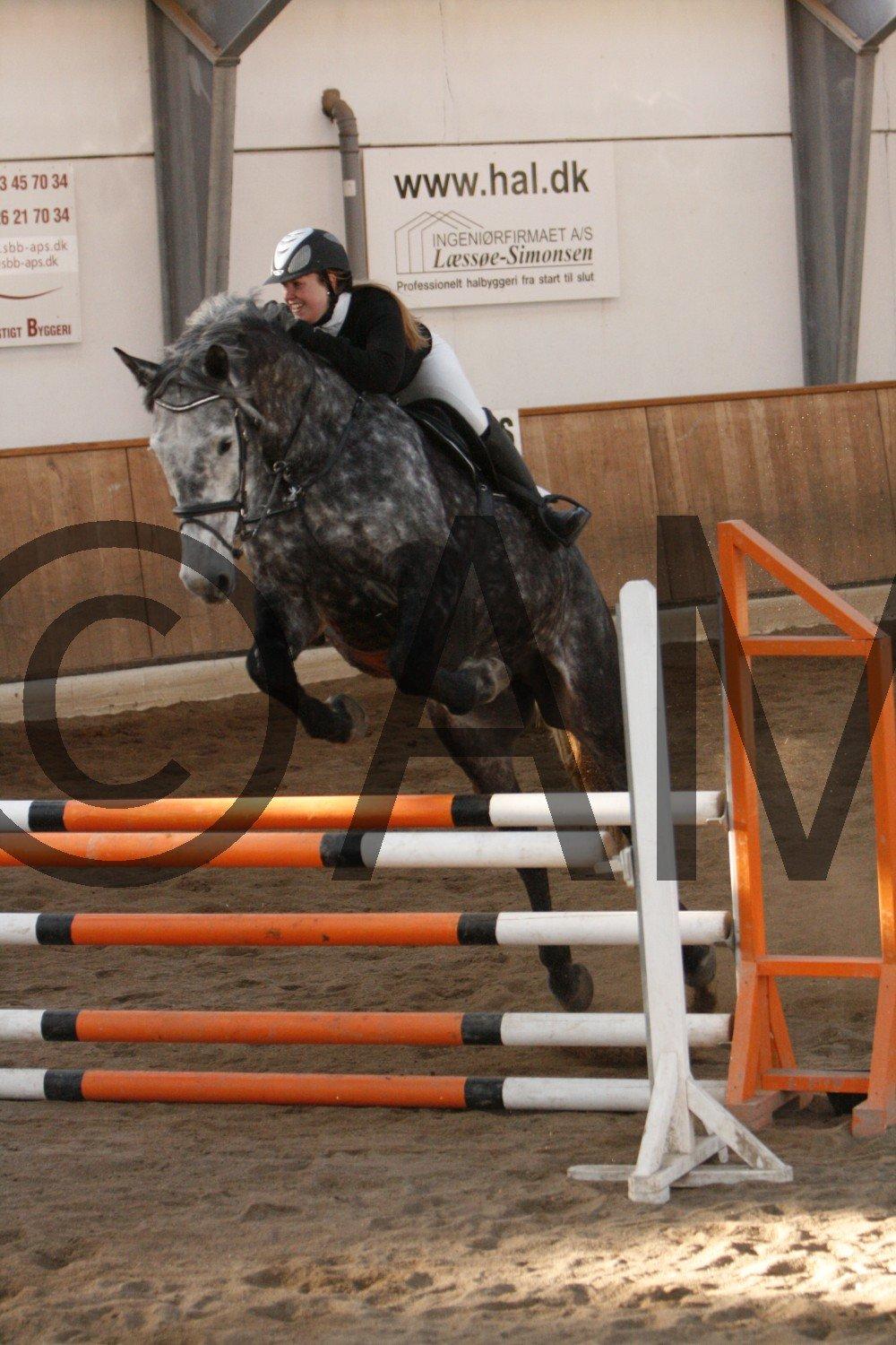 17/03 - 13 | Glostrup rideklub, spring billede 253