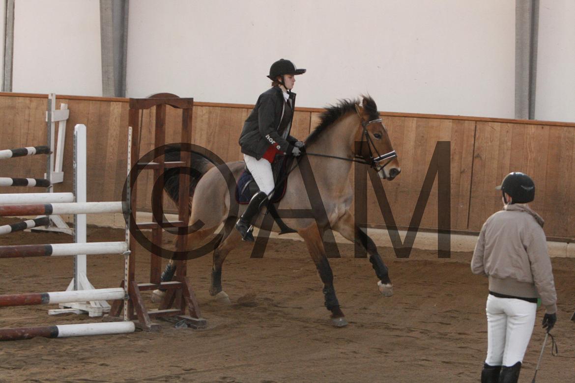 17/03 - 13 | Glostrup rideklub, spring billede 254