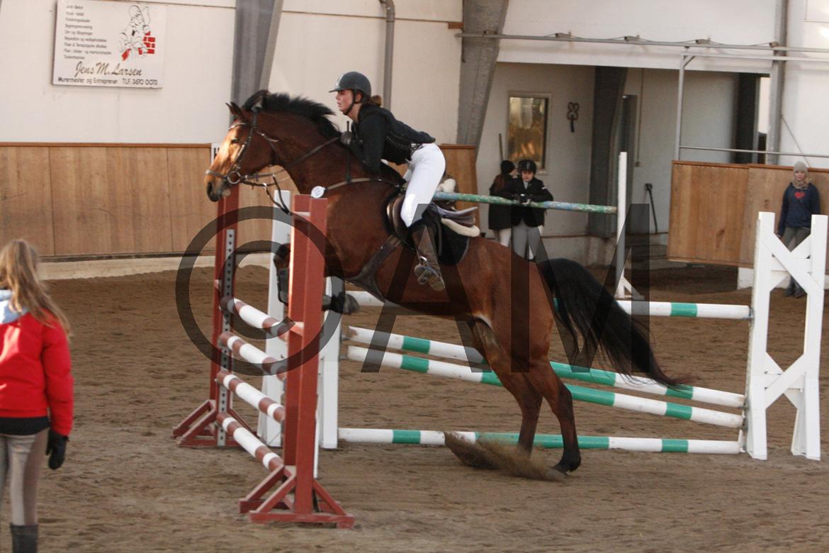 17/03 - 13 | Glostrup rideklub, spring billede 256