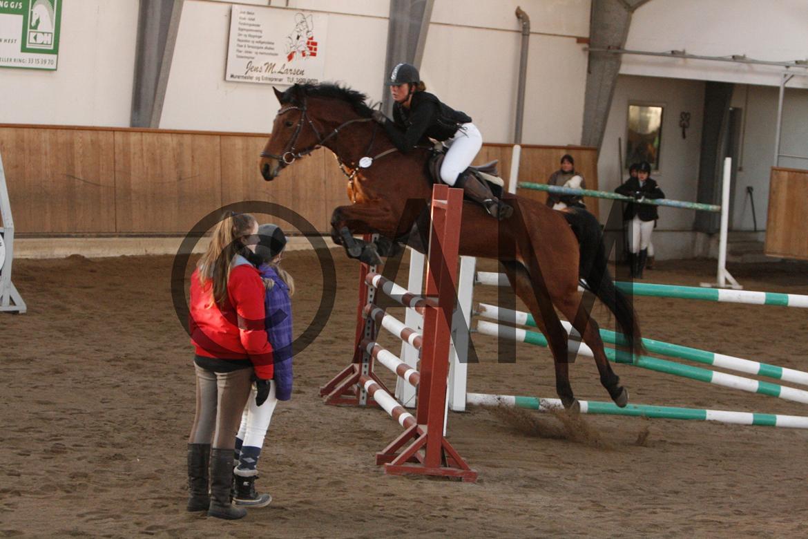 17/03 - 13 | Glostrup rideklub, spring billede 257