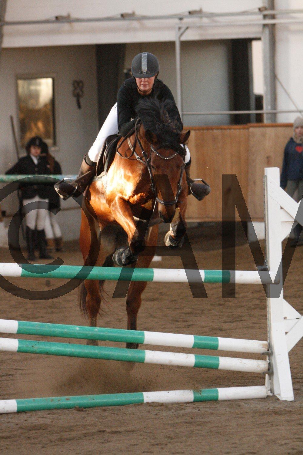 17/03 - 13 | Glostrup rideklub, spring billede 258