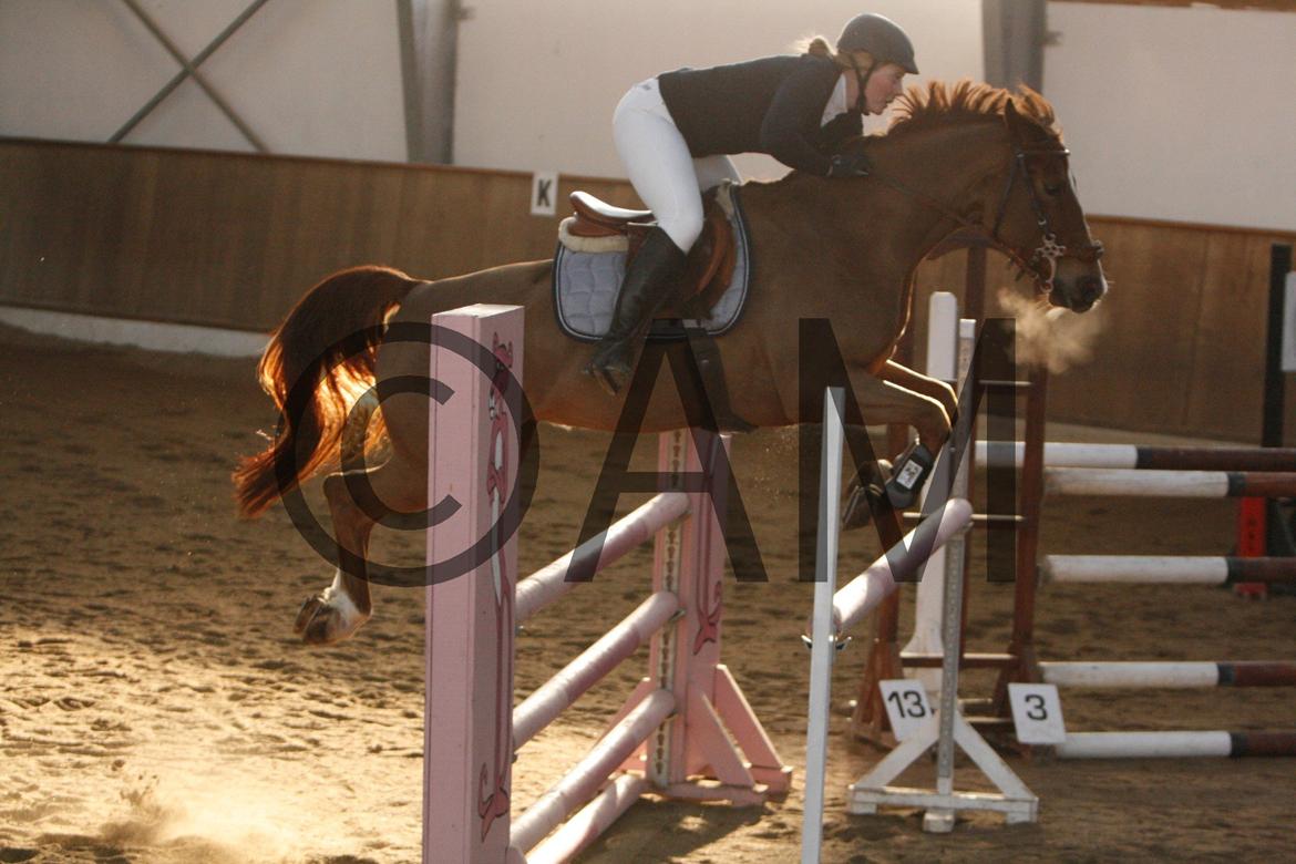 17/03 - 13 | Glostrup rideklub, spring billede 259