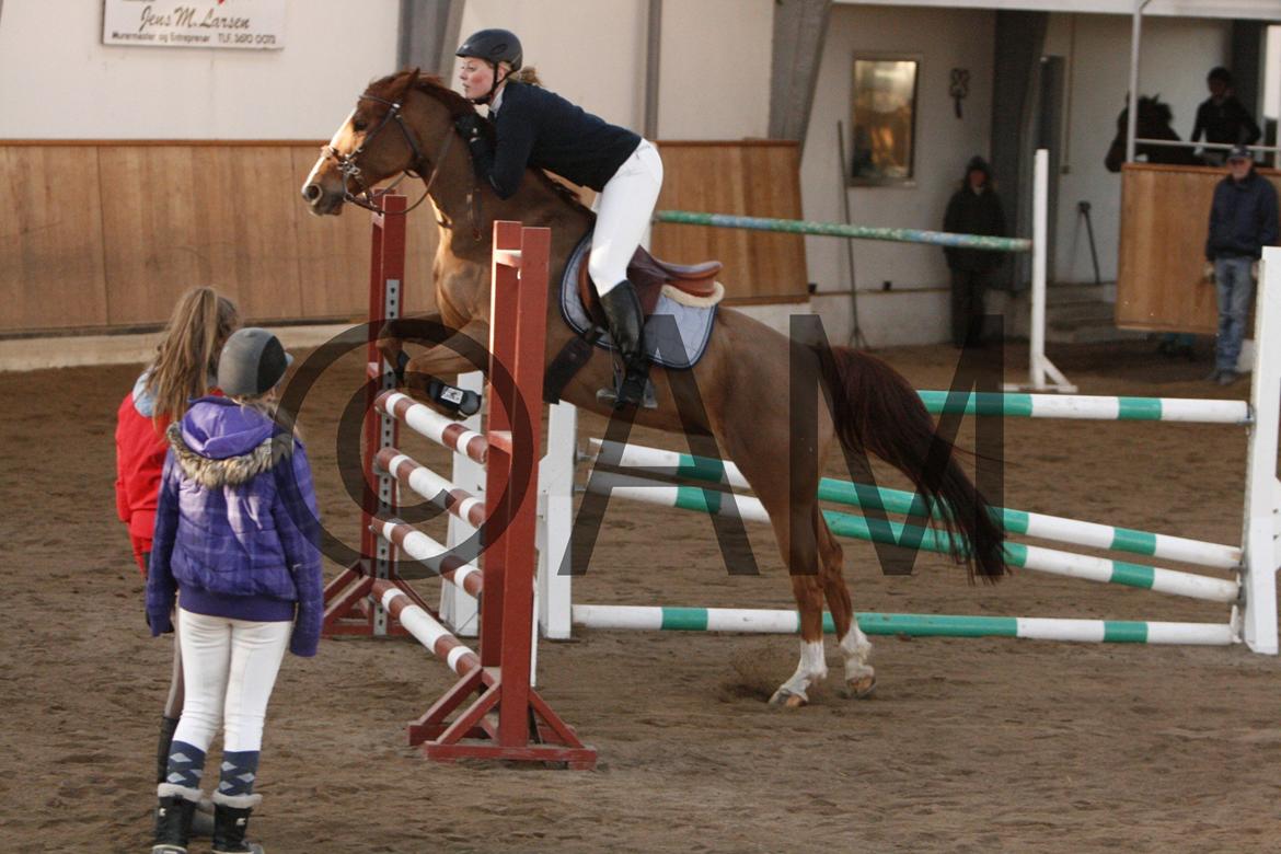 17/03 - 13 | Glostrup rideklub, spring billede 260