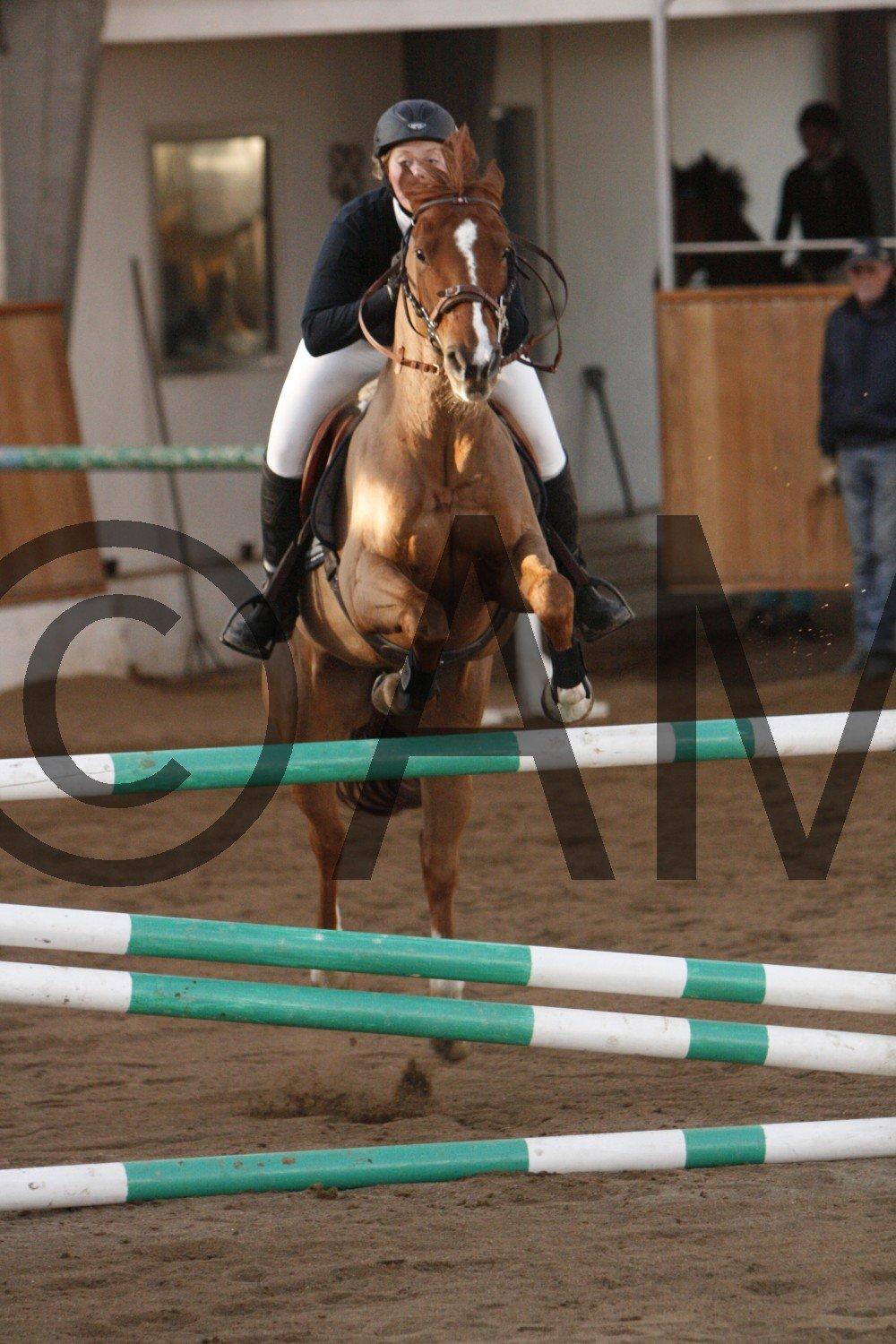 17/03 - 13 | Glostrup rideklub, spring billede 261