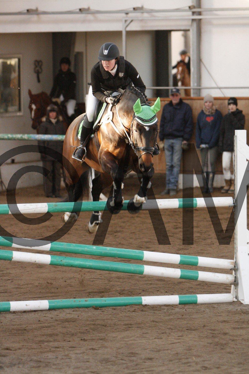 17/03 - 13 | Glostrup rideklub, spring billede 262