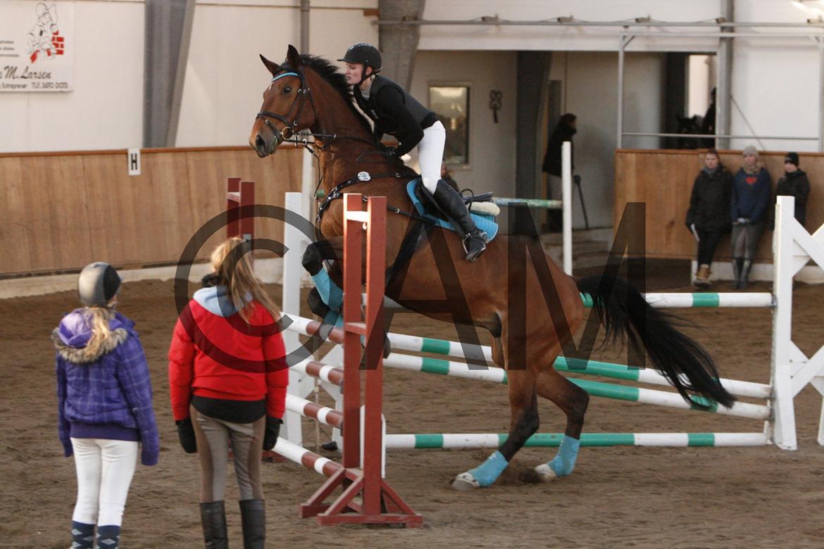 17/03 - 13 | Glostrup rideklub, spring billede 263