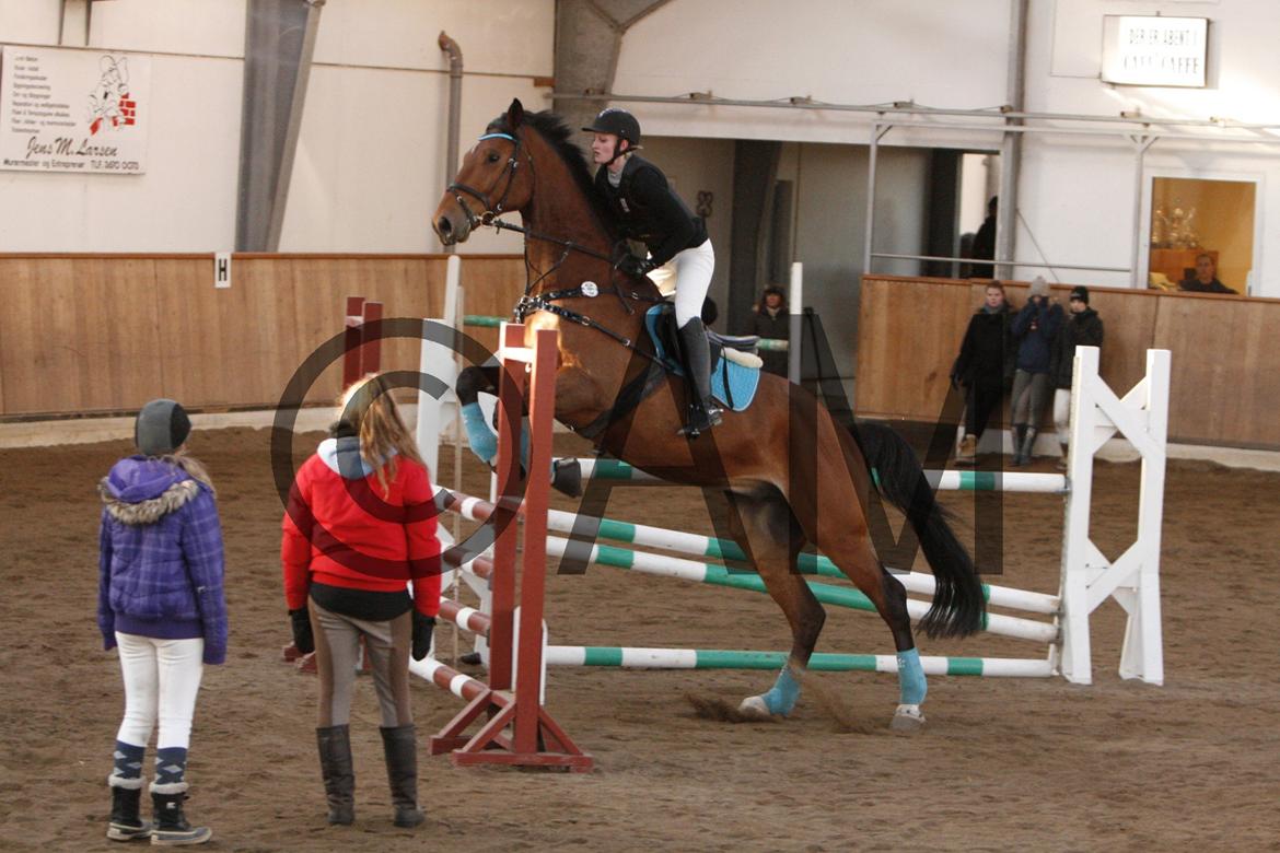 17/03 - 13 | Glostrup rideklub, spring billede 265