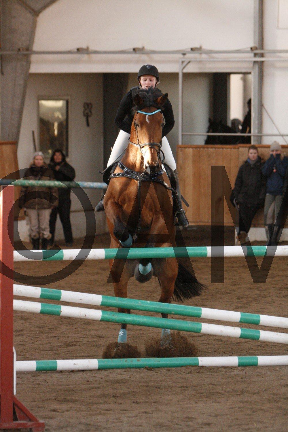 17/03 - 13 | Glostrup rideklub, spring billede 266