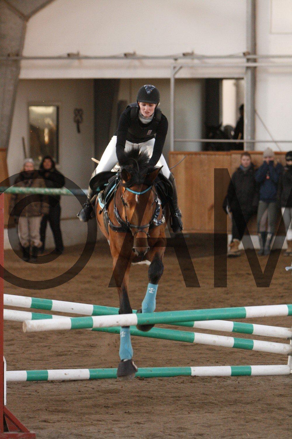 17/03 - 13 | Glostrup rideklub, spring billede 267