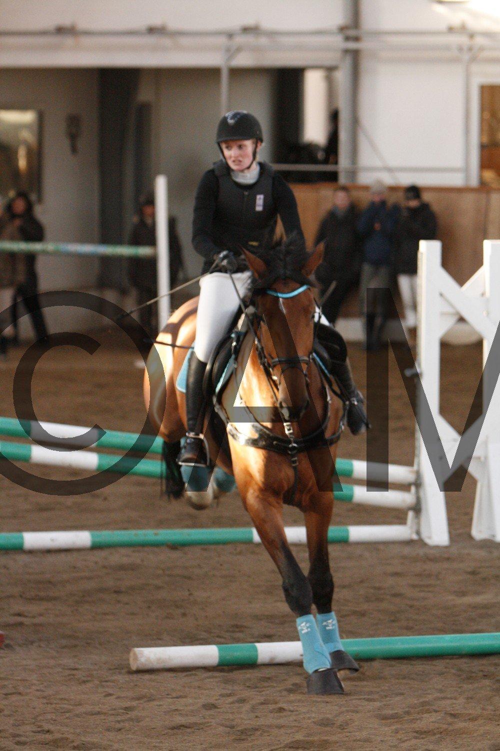 17/03 - 13 | Glostrup rideklub, spring billede 268