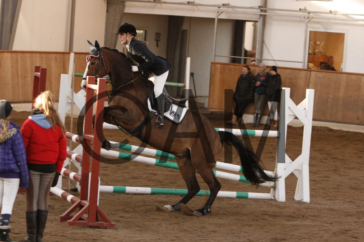 17/03 - 13 | Glostrup rideklub, spring billede 271