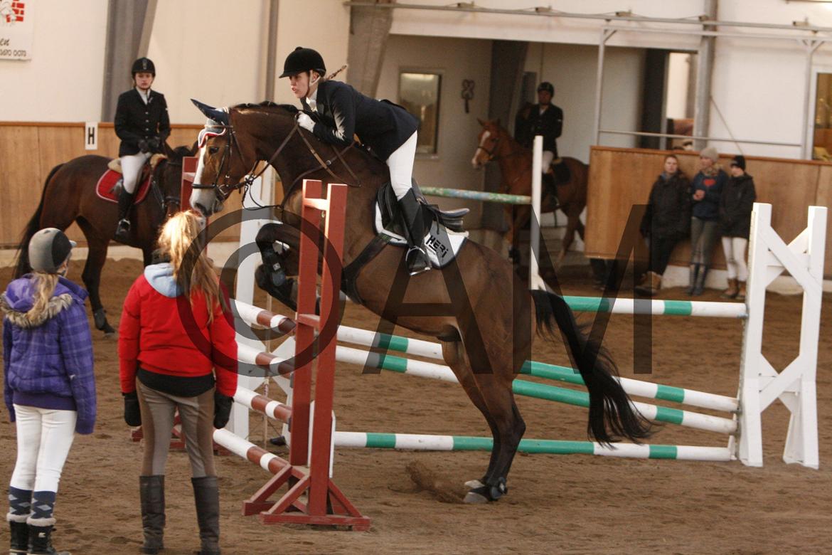 17/03 - 13 | Glostrup rideklub, spring billede 274