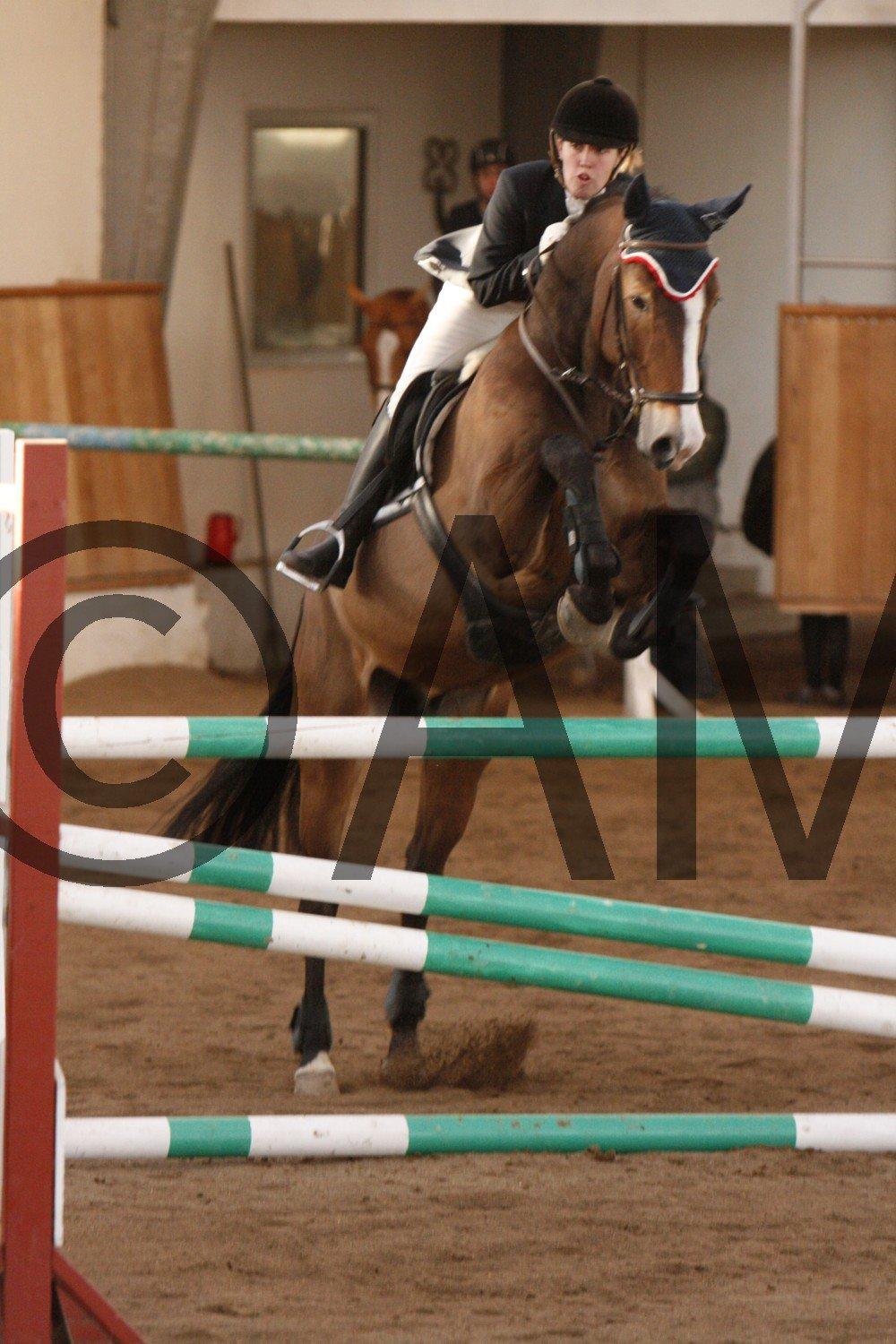 17/03 - 13 | Glostrup rideklub, spring billede 275