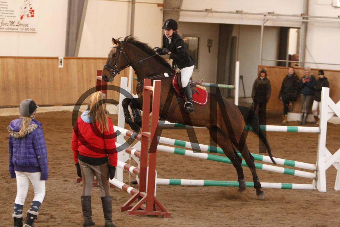 17/03 - 13 | Glostrup rideklub, spring billede 277