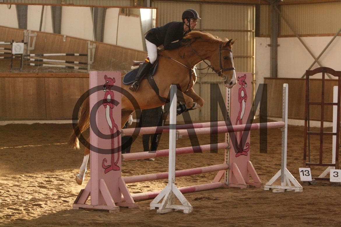 17/03 - 13 | Glostrup rideklub, spring billede 278