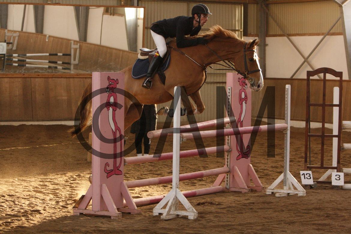 17/03 - 13 | Glostrup rideklub, spring billede 279