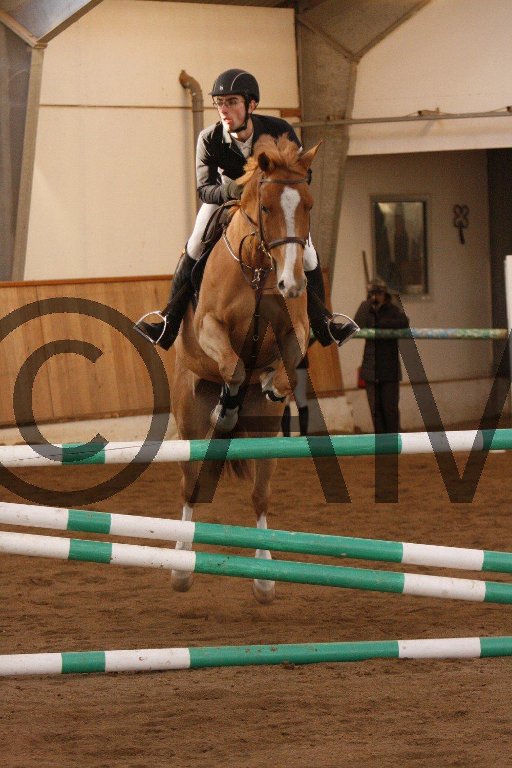 17/03 - 13 | Glostrup rideklub, spring billede 280