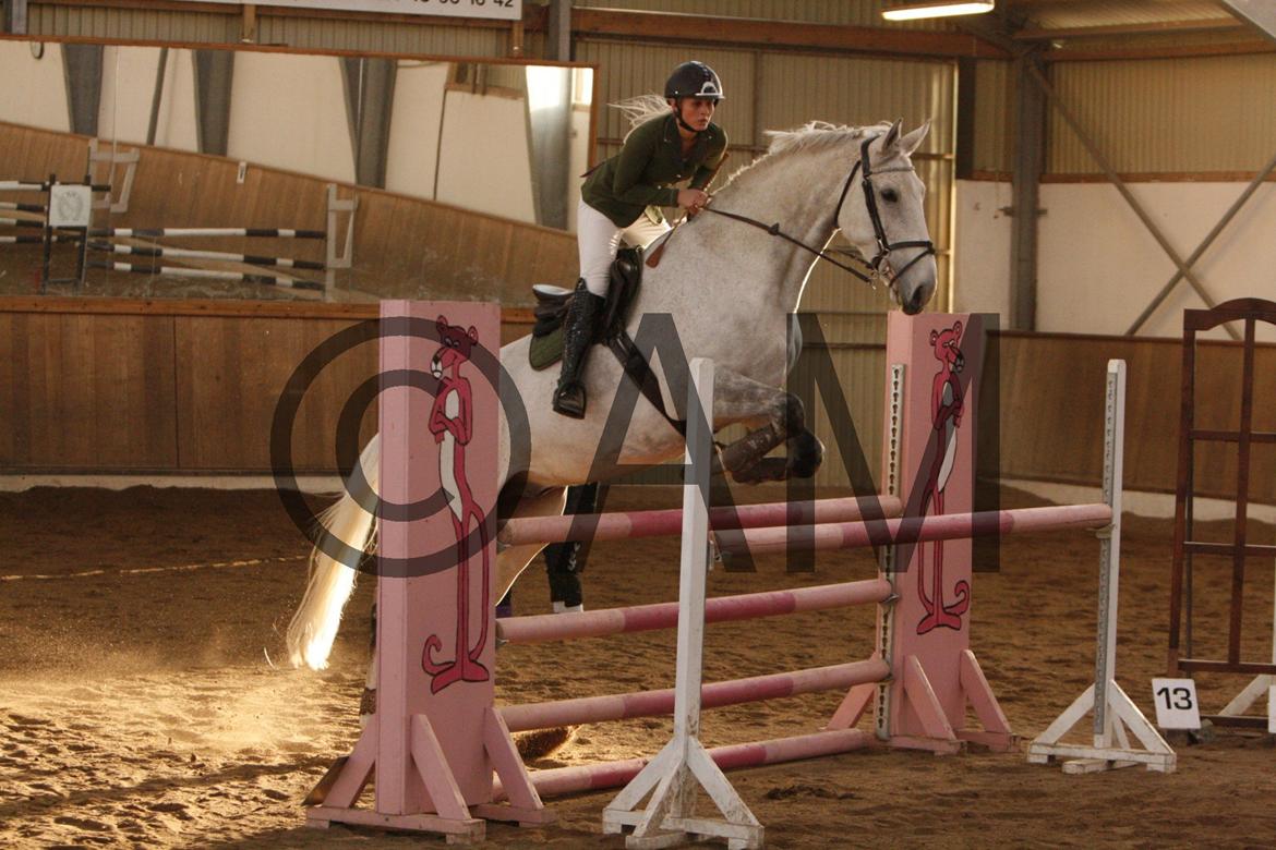 17/03 - 13 | Glostrup rideklub, spring billede 281