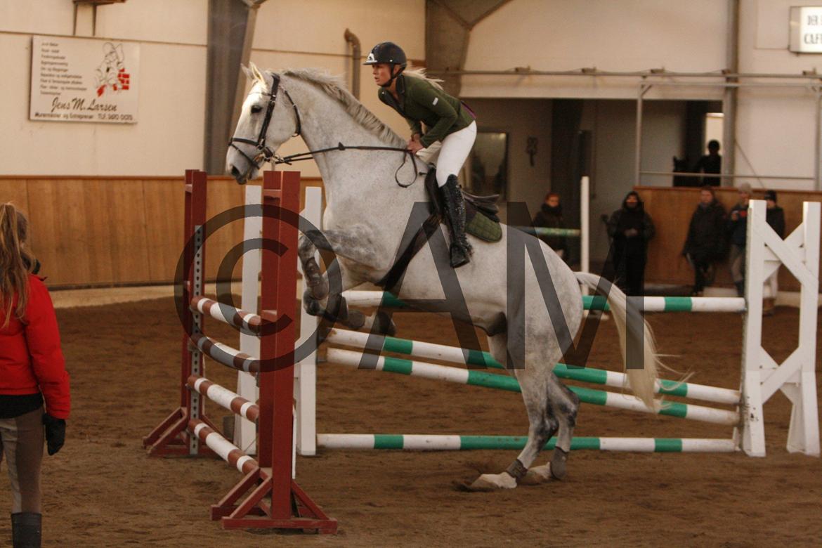 17/03 - 13 | Glostrup rideklub, spring billede 282