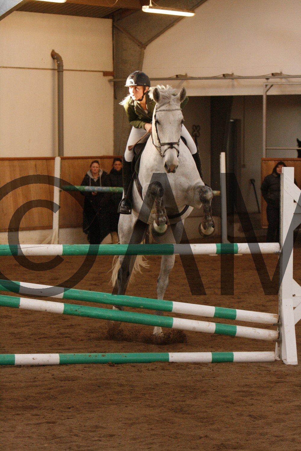 17/03 - 13 | Glostrup rideklub, spring billede 283